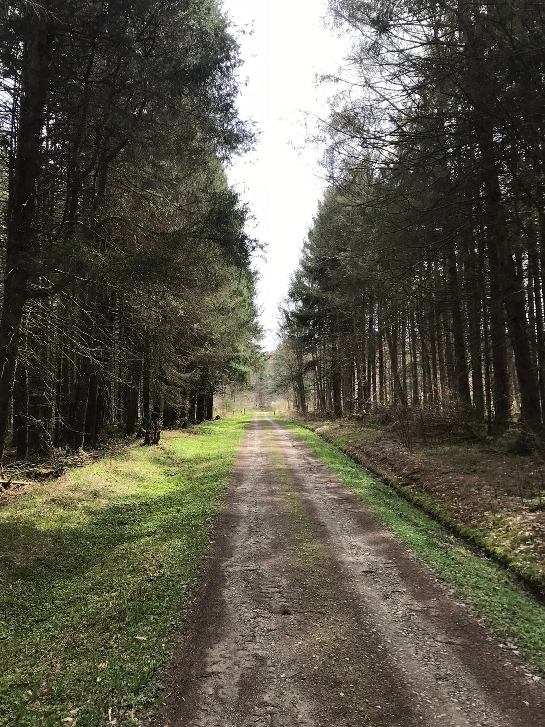 Trail System Support!