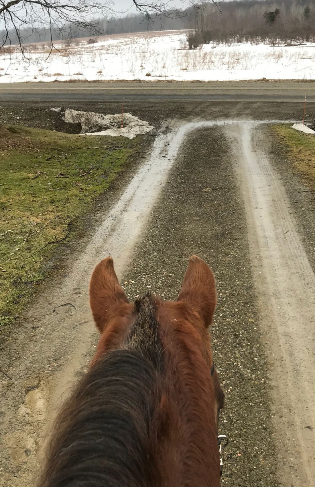 Impatiently Awaiting Spring